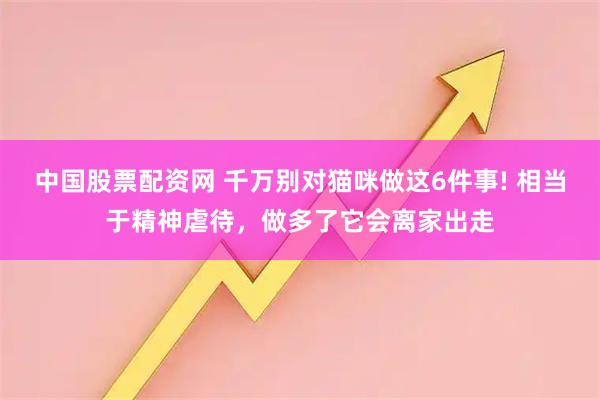 中国股票配资网 千万别对猫咪做这6件事! 相当于精神虐待，做多了它会离家出走