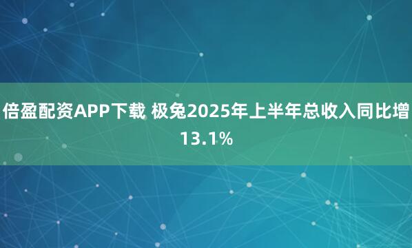 倍盈配资APP下载 极兔2025年上半年总收入同比增13.1%